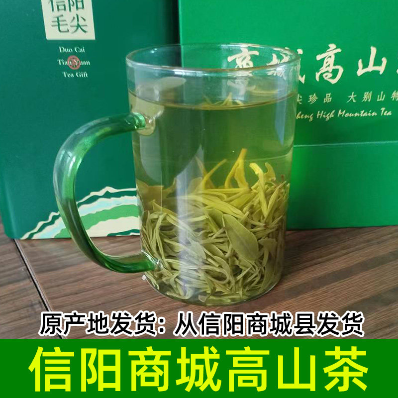 2026年新茶800g商城高山茶绿茶手工茶信阳高山野茶毛尖产地直发