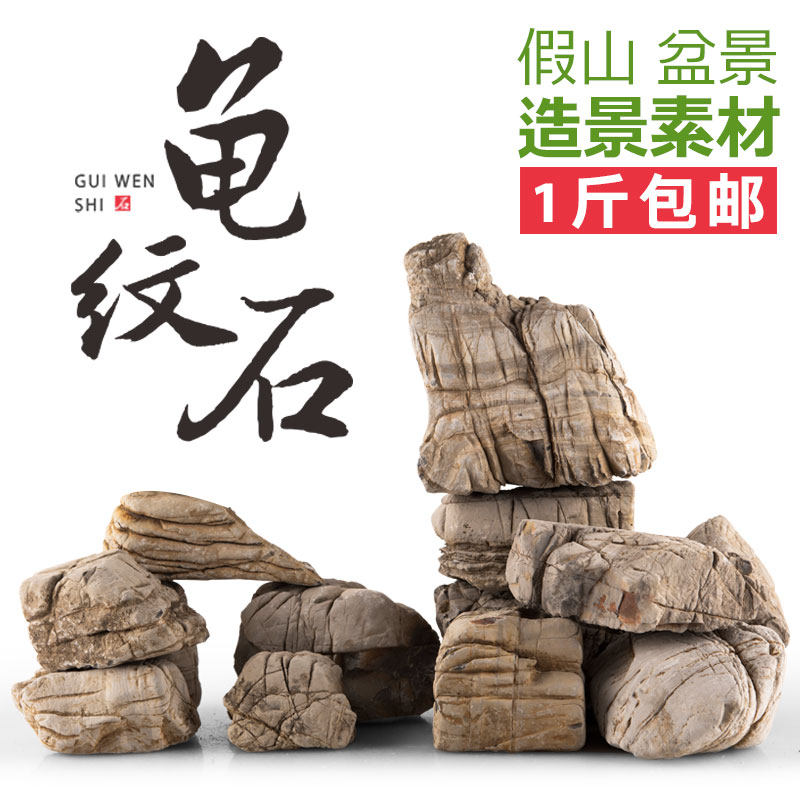 龟纹石 小块原石假山盆景附石水族鱼缸盆栽装饰造景石 小石头摆件