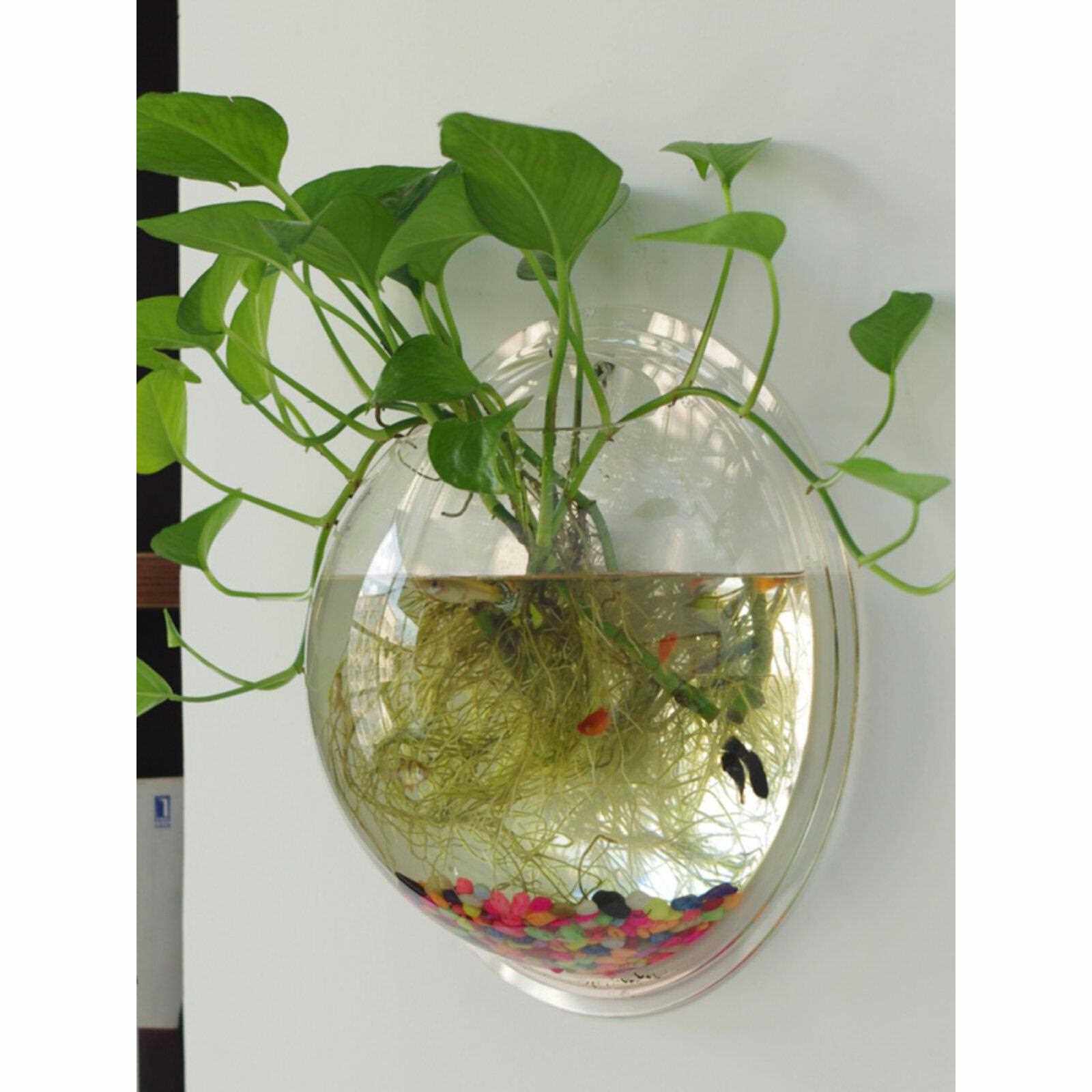 新疆包邮壁挂花盆创意吊兰花盆绿萝水培多肉花盆迷你小花盆墙上吊