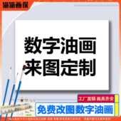新疆 包邮 数字油画定制来图定做diy填色卡通涂色丙烯小尺寸填充真