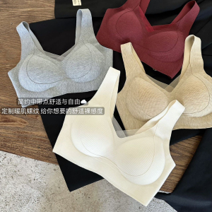 新款女文胸固定杯聚拢