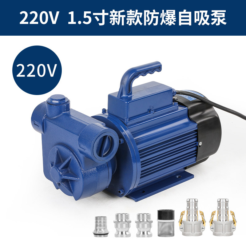 新款汽油防爆抽油泵12V24V220V机油液压油齿轮油导油泵自吸甲现货