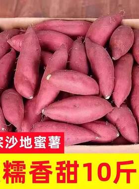 回头客河南沙地龙九黄心蜜薯