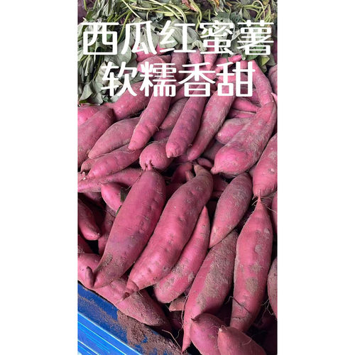 河南沙地西瓜红蜜薯新鲜板栗红薯