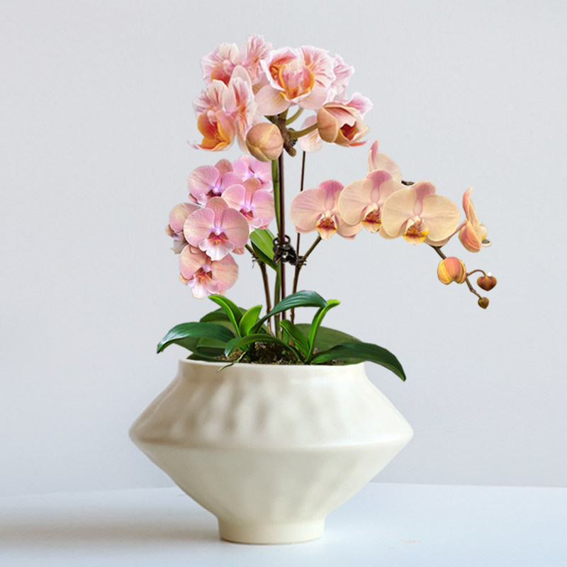 中式陶瓷花盆带托盘复古诧寂风陶花盆