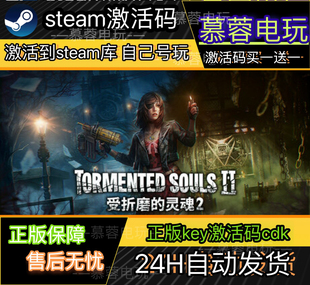 受折磨的灵魂2 STEAM游戏激活码全球区CDK 永久入库 全DLC 包更新