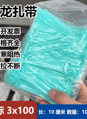 3x100湖蓝色尼龙扎带束线带耐寒阻燃耐拉小绑带勒死狗自锁式2.5mm