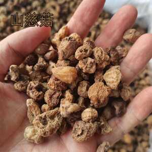 特级山慈菇中药材磨粉