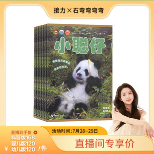 婴儿版 社 弯弯推荐 8岁宝宝孩子期刊杂志启蒙认知早教亲子共读科普百科接力出版 幼儿版 2025年小聪仔科普版 全辑12期