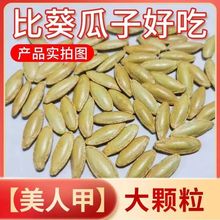 新货新疆长粒美人甲南瓜子原味椒盐味炒熟南瓜籽坚果炒货休闲零食
