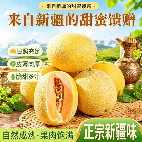 新疆黄皮哈密瓜挚爱黄皮黄肉新鲜水果当季哈密瓜甜瓜哈密瓜