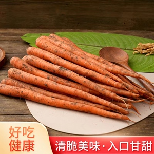 帝王系水果胡萝卜新鲜脆嫩胡萝卜清甜多汁入户甜萝卜