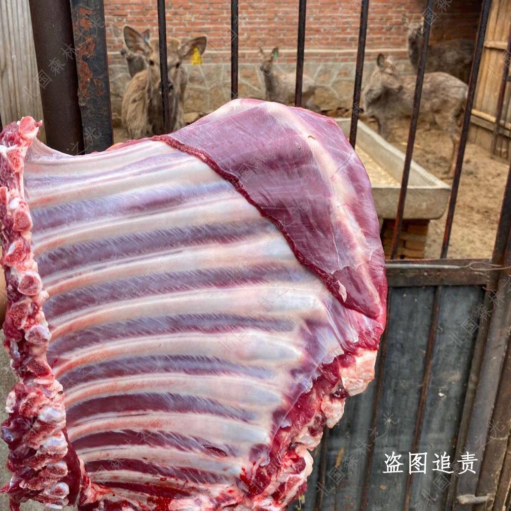 吉林鹿排骨5斤装活杀生鲜速冻保温箱加冰长春市顺丰空运包邮精品,水产肉类/新鲜蔬果/熟食,其它生肉制品,淘宝优惠券,粉丝福利购,淘宝优惠卷