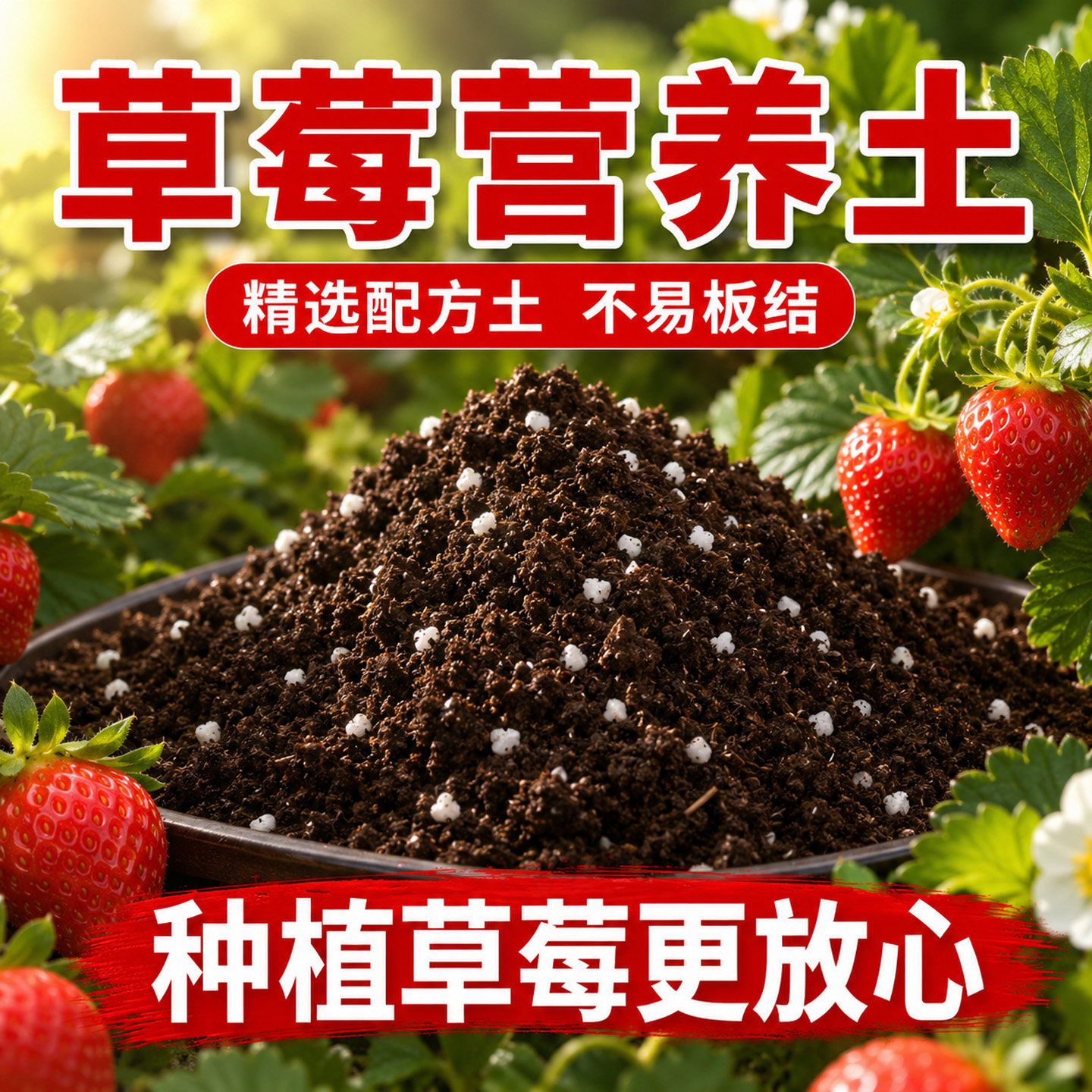 草莓专用营养土阳台草莓苗土壤种植土瓜果树通用盆栽专用肥有机土