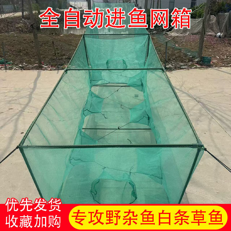 自动进鱼网箱只进不出杂鱼鲫鱼白条养殖笼子捕鱼神器鱼塘水库专用