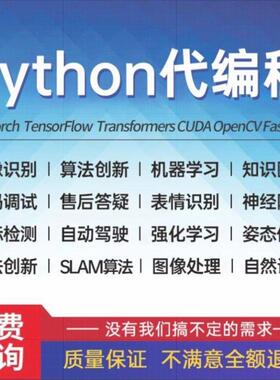 python代编程深度学习代码指导强化学习项目模型训练代做辅导接单