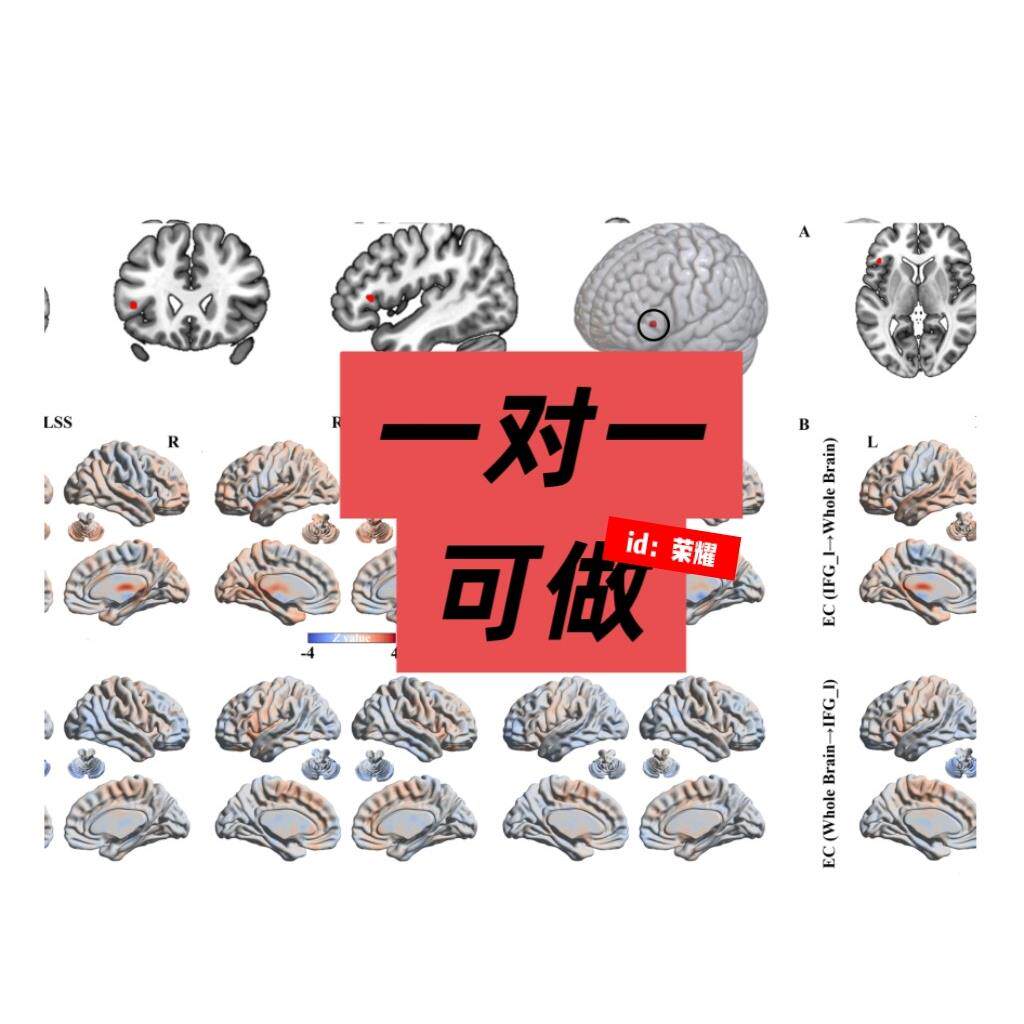 影像组学深度学习ROI勾画三维重建临床预测组学建模神经影像fMR