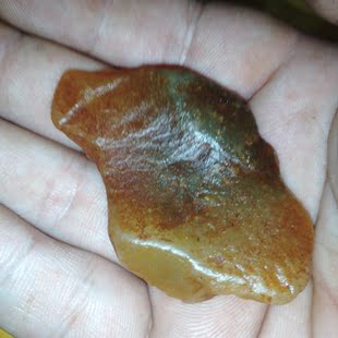 『宸宏吾天寿山田黄你好』！一元拍—福建寿山田黄冻石原石把件