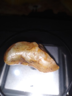 『宸宏吾天田黄』一元拍正宗寿山白田黄原石小摆件料10元区捡漏