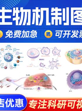 生物机制图SCI科研绘图医学信号通路插图建模设计流程图机制图TOC