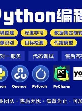 python代编程代码修改代做程序python加功能二次开发pyqt数据爬虫
