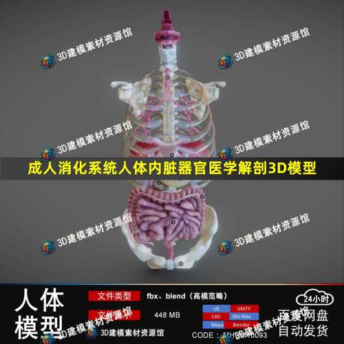 ue成人消化系统人体内脏器官医学解剖3D模型max/maya/c4d/blender