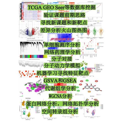 GEO/TCGA数据库挖掘差异基因分析火山图热图网路药理学单细胞测序