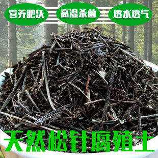 腐熟纯松针土天然腐殖土壤家用种花土兰花专用腐叶土通用型酸性土