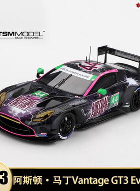 阿斯顿马丁Vantage GT3 Evo #44 IMSA赛车 TSM 1:43 汽车模型收藏
