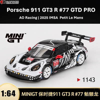 保时捷911GT3RAO赛车骷髅龙模型