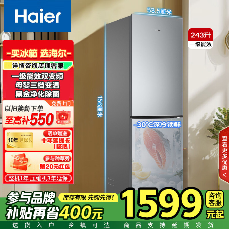 海尔家用电冰箱两开门一级能效变频净味风冷无霜小户型243升双门