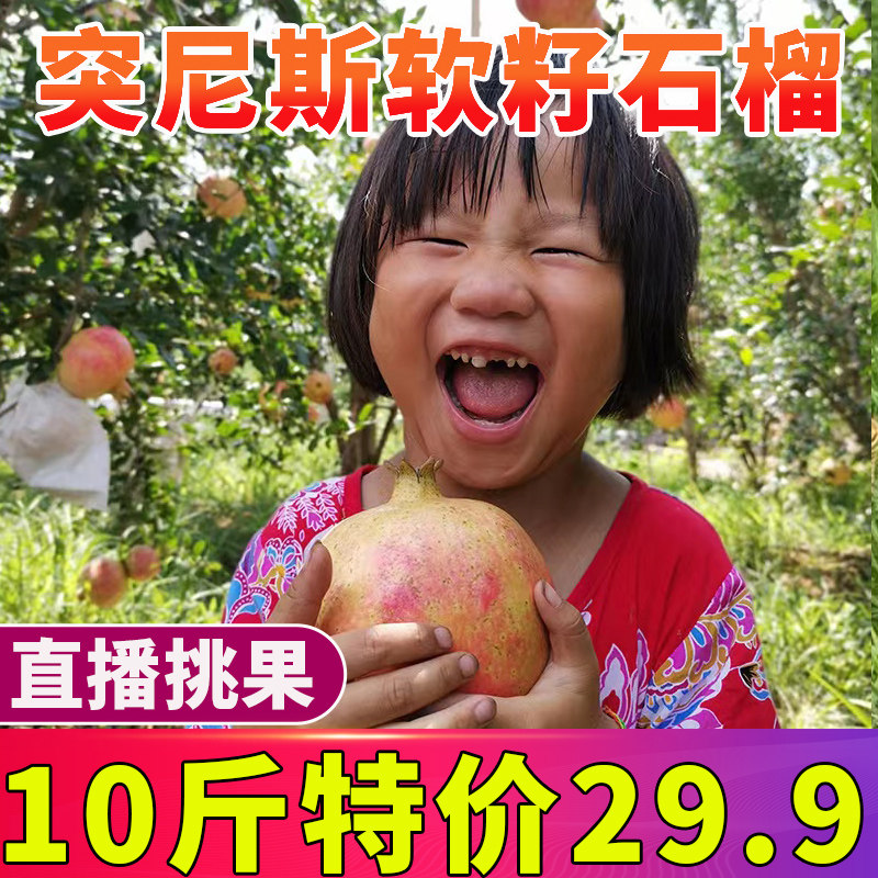 特价花皮果云南大理宾川突尼斯软籽石榴现摘红甜心时令整箱10斤