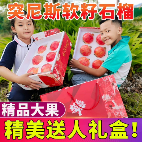 精美礼盒突尼斯软籽石榴现摘现发