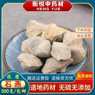 石燕中药材矿石化石天然燕子石 水飞石燕 锻石燕药用500克包邮