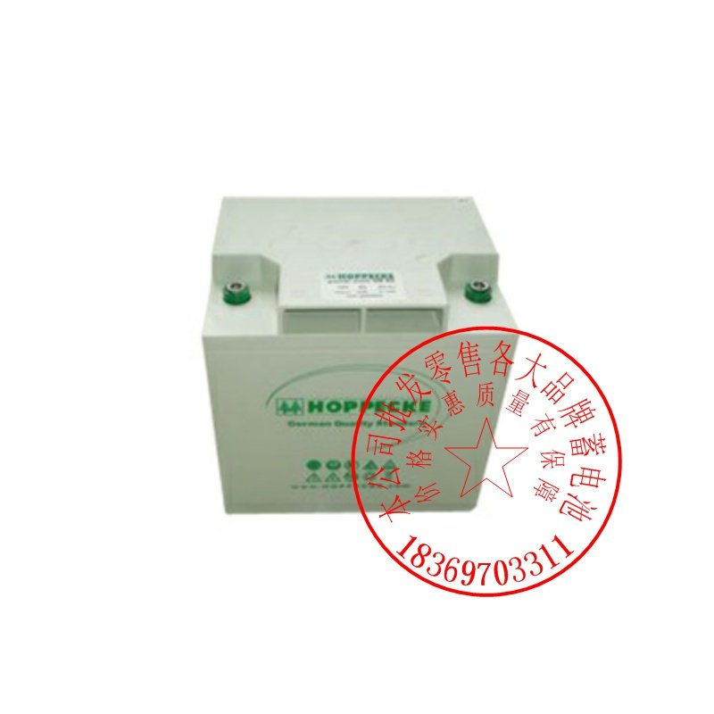 德国荷贝克蓄电池SB12V50Ah 12-50AH UPS/EPS直流屏专用电瓶|ruв категории Цифровые аксессуары, сухая батарея/зарядка батареи/костюм, очередной сухой батарея - от Buy2taobao.com для оказания профессиональной услуги покупки агента Taobao