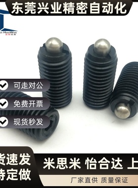 ZC204-2-1H德标弹簧锁销 闩头定位弹簧柱塞GN616