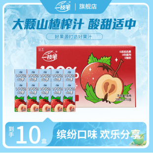 一枝笔100%山楂复合汁酸甜开胃200ml 10瓶nfc山楂原浆0防腐剂果汁
