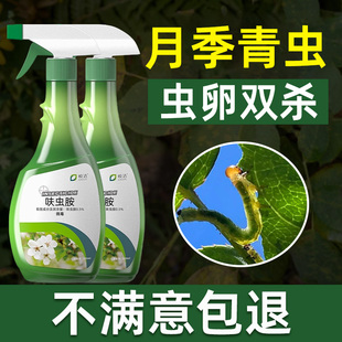 叶蜂幼虫杀虫剂月季专用药青虫蔷薇花切叶蜂茎蜂毛毛虫灭杀打虫药