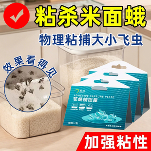 家用米面蛾诱捕器除灭厨房粮食飞蛾子小飞虫粘粉斑螟蛾谷螟粘虫板