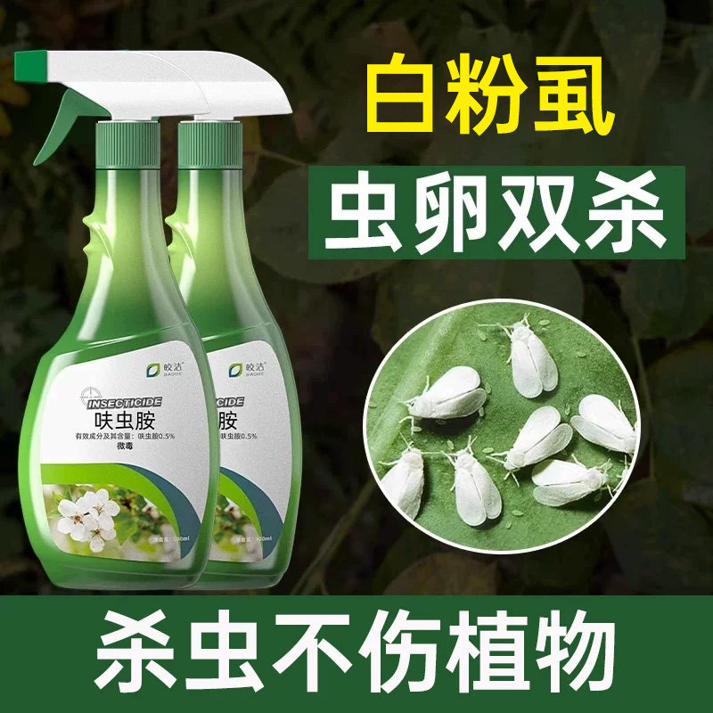 白粉虱杀虫剂花药白粉虱花卉专用植物通用白飞虱病白娥药虫卵双杀