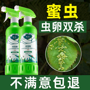 蜜虫专用药蚜虫白粉虱治蜜虫的药花卉植物杀虫剂盆栽预防室内防治