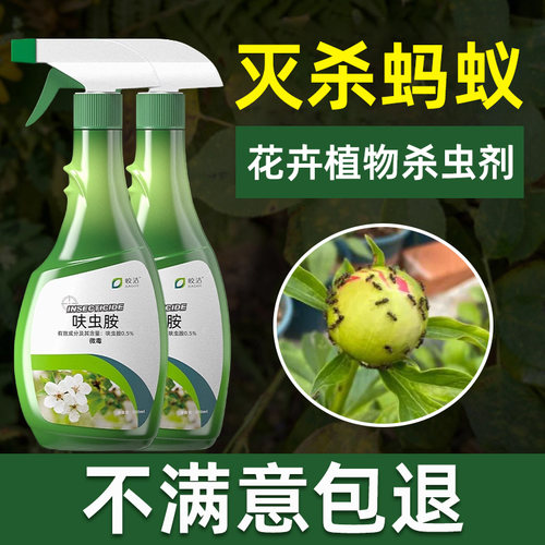 花卉蚂蚁药盆栽绿植菜地果树