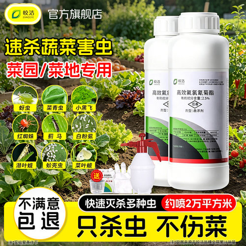 蔬菜杀虫剂非无毒菜园杀虫药专用农药瓜果玉米菜地大棚青菜虫农药