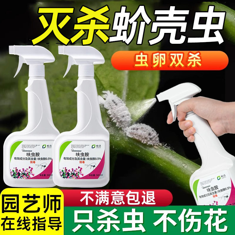 蚧壳虫非专用药蚧必治介壳虫杀虫多肉小白虫家用花卉植物防杀虫剂