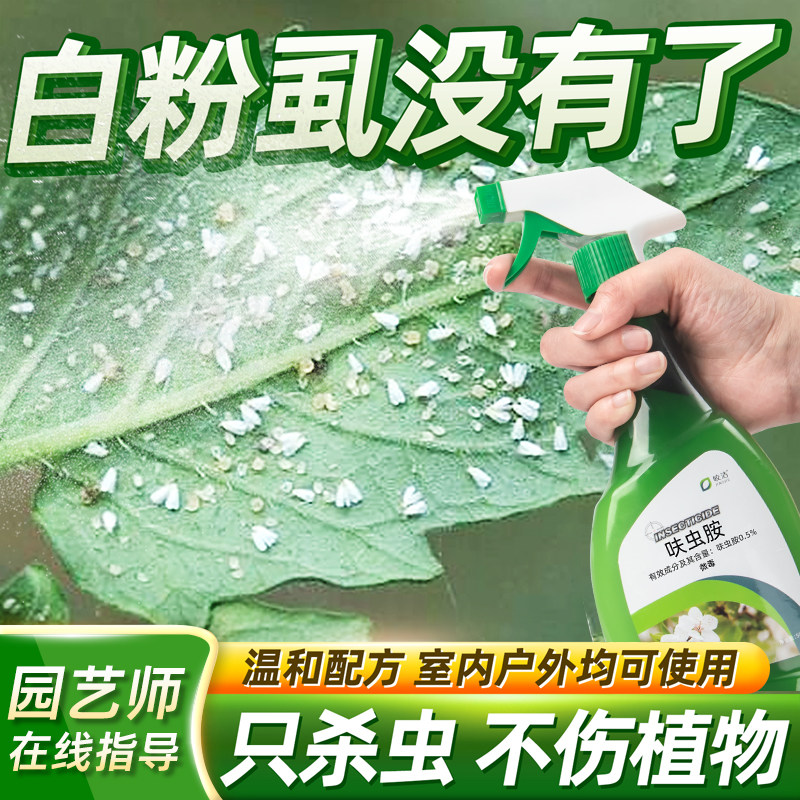白粉虱杀虫剂绿植花盆土壤花药花卉植物室内除虫驱虫药非特效专用,洗护清洁剂/卫生巾/纸/香薰,杀虫剂（卫生农药）,淘宝优惠券,粉丝福利购,淘宝优惠卷