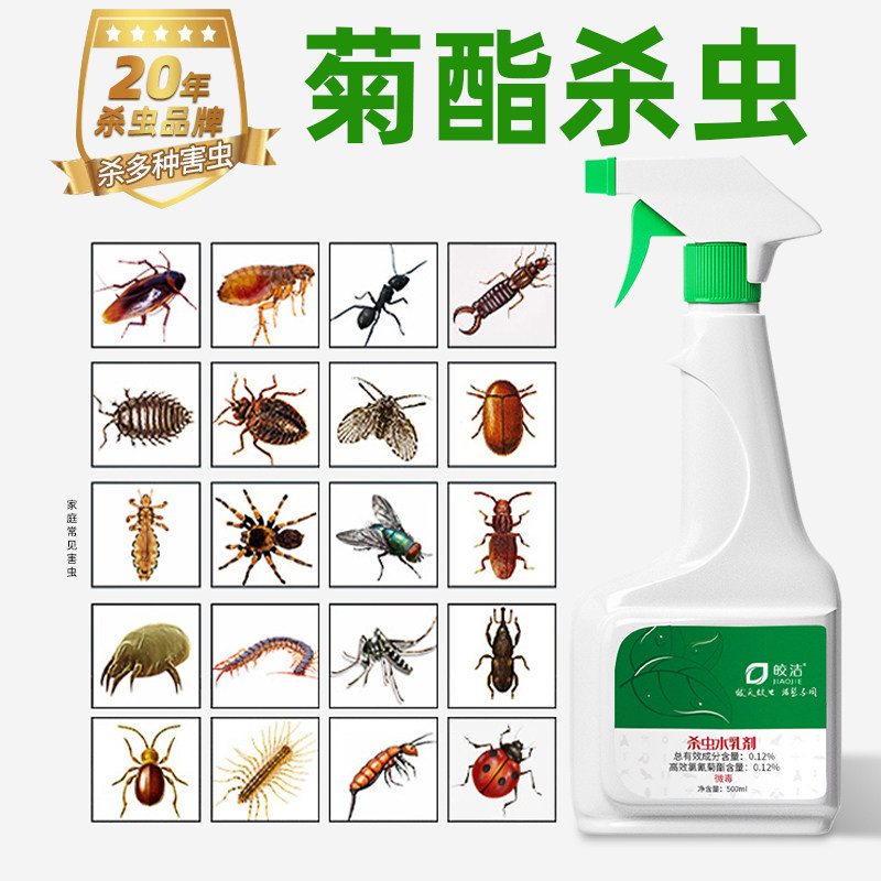 氯菊酯胺菊酯喷雾菊酯类杀虫剂书虱录菊酯喷剂高效氯氰菊酯除虫药
