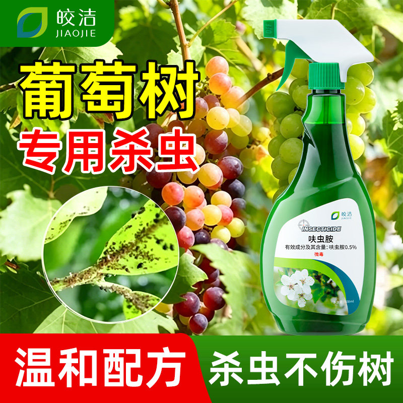 葡萄树杀虫剂果树专用防治除灭蚜虫蚧壳虫白粉虱红蜘蛛蓟马金龟甲