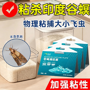 印度谷螟诱捕器粘杀厨房粮食飞蛾粘粉斑螟蛾米面蛾陷阱家用粘虫板