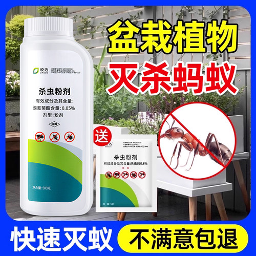 盆景花卉绿植树上盆栽花园植物果树防植物花盆灭除蚂蚁药里有蚂蚁