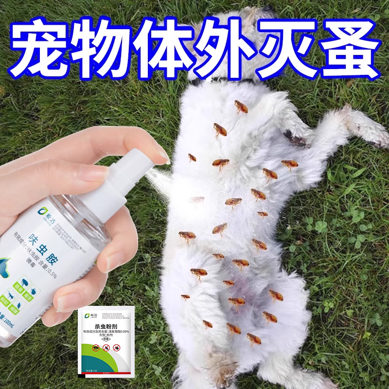 宠物跳蚤药丨快速灭蚤不伤爱宠